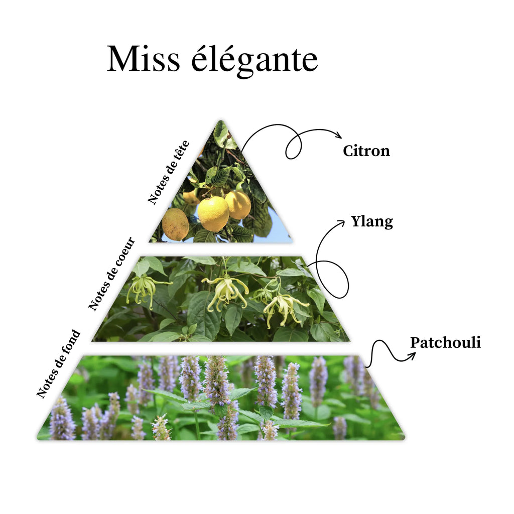 Miss élégante craquante