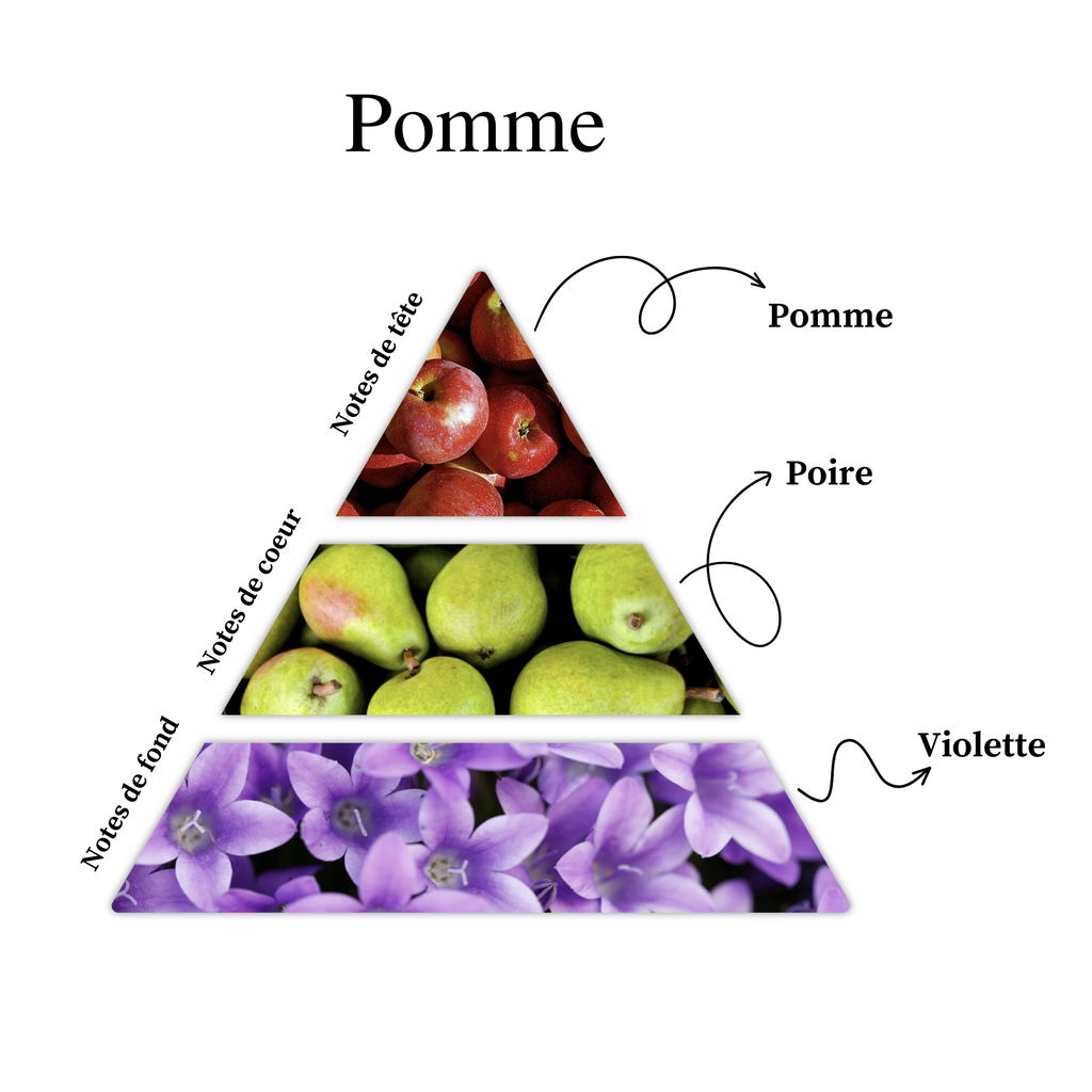 La Belle Pomme - Petite 🍏