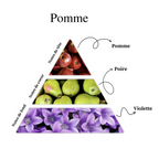 La Belle Pomme - Petite 🍏